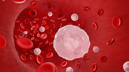 Care sunt valorile normale ale leucocitelor și care sunt cele care indică risc de cancer?