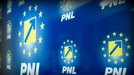 Liberalii trebuie să plătească daune și să prezinte scuze publice partidului USR