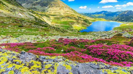 Rezervații naturale din România. Află care sunt locurile pe care trebuie să le vezi cel puțin o dată