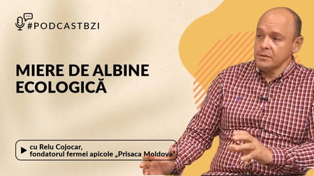 LIVE VIDEO - Relu Cojocar, fondatorul fermei apicole „Prisaca Moldova”, despre mierea de albină ecologică