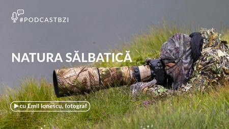 LIVE VIDEO - Despre fotografia de natură sălbatică, cu fotograful Emil Ionescu, intr-un nou episod de #Podcast BZI!