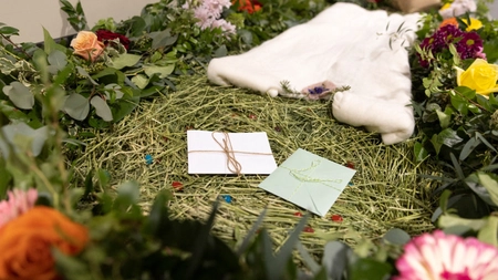 O nouă practică funerară este la modă! Au apărut înmormântările eco