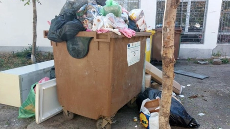 Ce a găsit Georgiana la ghena de gunoi. Când a văzut, era să cadă din picioare!