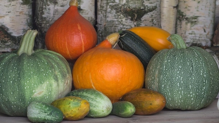 Ce boli vindecă dovleacul? Mari beneficii pentru sistemul cardiovascular!