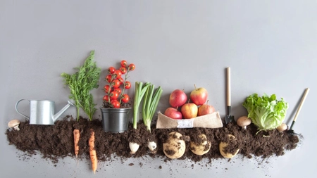 Iată cum să faci îngrășământ natural pentru legume chiar la tine acasă! Pentru producții cu 30-40% mai mari!