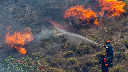 Atenție la incendiile de vegetație și din pădurile din Iași! Anual, începând cu luna martie, apar astfel de probleme