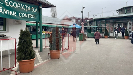 Magazinele și piețele din Iași, goale din cauza gerului! România, lovită de un vortex polar cu temperaturi de -12°C