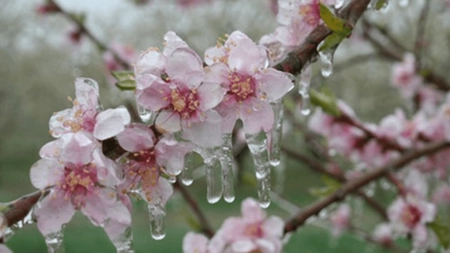 Februarie 2025, cea mai rece lună din ultimii 13 ani. Ce temperaturi urmează în luna martie