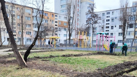 A început montarea rulourilor de gazon în cartierele din municipiul Iași! Iată care sunt zonele unde se lucrează