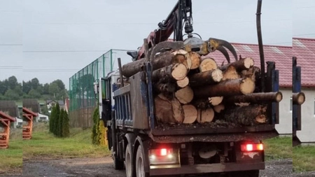 Controale în trafic, realizate de Direcția Silvică Iași, împreună cu Poliția și Jandarmeria. A fost confiscat un volum de 41 de metri cubi de material lemnos