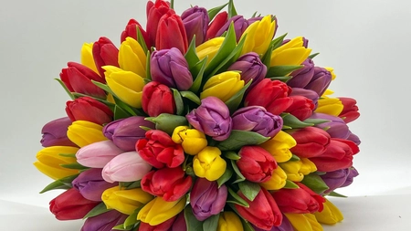 Cum să faci cele mai frumoase aranjamente cu lalele. Idei creative pentru decorul floral perfect