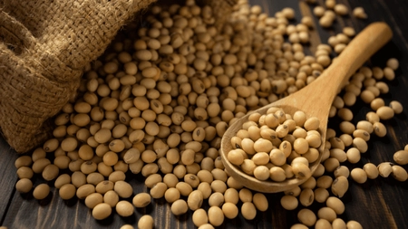 Beneficiile consumului de lecitină din soia! O prețioasă resursă de sănătate pentru organism!