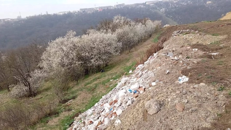 Activitatea Comisariatului Iaşi al Gărzii Naţionale de Mediu în Trimestrul I 2025