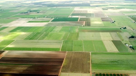 Ce oferte de vânzare a terenurilor agricole sunt la Iași în această perioadă. Prețurile cerute de proprietari au crescut în 2025