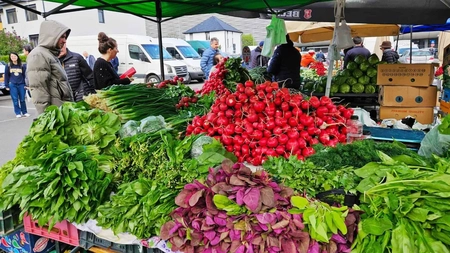 Această legumă costă o avere și se cultivă ușor și îți aduce profit mare! Costă 20 de lei kilogramul