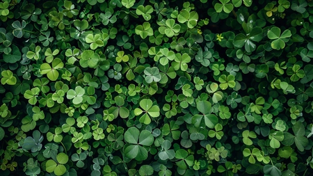 Norocul irlandezului și jocurile de pacanele cu trifoi: O incursiune în lumea sloturilor cu tematică celtică (P)