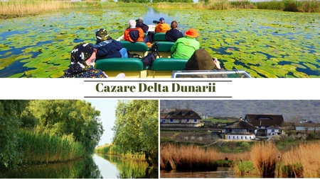 Cazare Delta Dunării – Ghidul tău complet pentru o experiență autentică