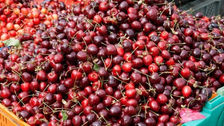 Cât a ajuns să coste 1 kg de cireșe în piață: O singură cireașă e 5 lei!