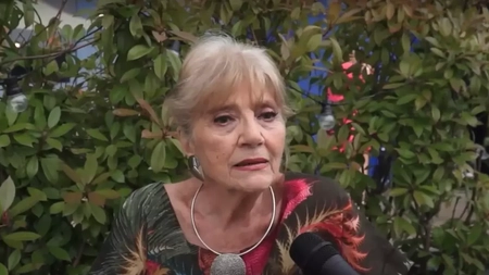 Ce este infarctul stomacal? Actrița Cristina Deleanu s-a stins din aceasta cauza