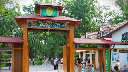 Care este cea mai mare grădină zoologică din România? Este singura în care găsești elefanți și girafe!