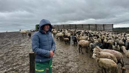 Misiune de salvare demarată de pompierii ieșeni în zona Lungani: cioban și turmă de oi, izolați pe un deal expus - UPDATE