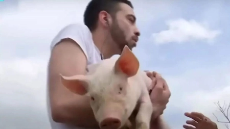 David Pușcaș, depășit total de munca la fermă. Ce a pățit tânărul în țarcul porcilor