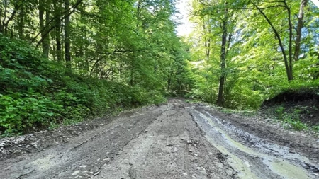 Romsilva amenajează un nou drum forestier în județul Iași! Lungimea este de 3,8 km și asigură accesul în mai multe zone