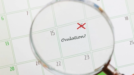 Metoda calendarului și identificarea perioadei fertile. O planificare naturală a sarcinii