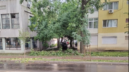 Intervenție pentru îndepărtarea unui copac în pericol de prăbușire în municipiul Iași