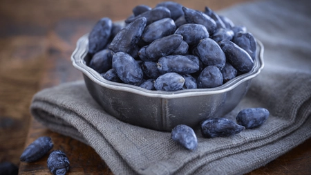 Cum se cultivă afinul siberian? „Fructul tinereții” care are cei mai mulți antioxidanți din lume!