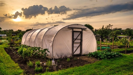 Autorizație pentru solar de legume! Puțini români știu asta. Amenzile sunt uriașe! 
