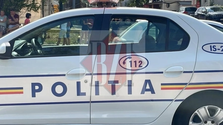 Interzis în România! Proprietarii riscă amenzi de 3.000 de lei dacă nu au aviz pentru adăposturi de animale