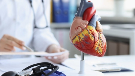Ce este tamponada cardiacă și cum îți poate afecta sănătatea? Află cum poate fi prevenită această afecțiune!