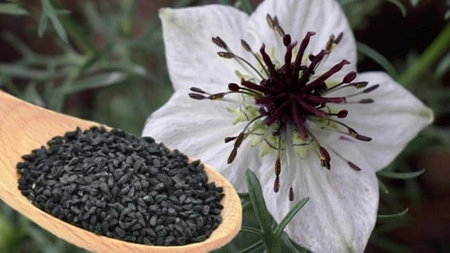 Chimen negru sub formă de capsule, aliatul natural al imunității. Află beneficiile sale în viața de zi cu zi