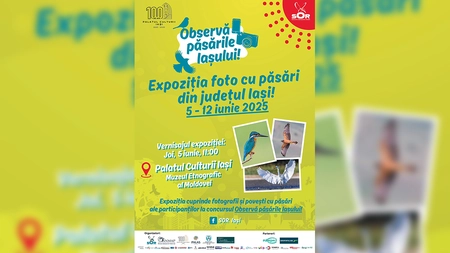 Expoziția de fotografii „Observă păsările Iașului”