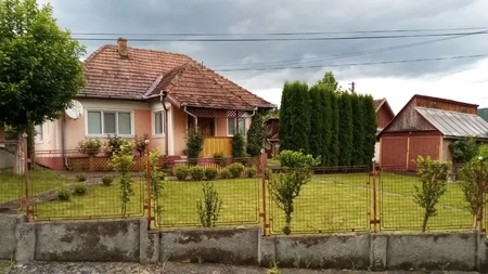 Fapta interzisă pentru românii care stau la curte! Pe lângă amendă, s-a introdus și pedeapsa cu închisoarea! 
