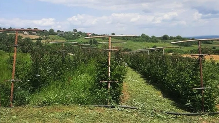 Fermierii, revoltați de birocrația excesivă! Alin Aignătoaei, producător din Iași: „Practic, eu trebuie să merg de 20 de ori la primărie să las carnetul și de 20 de ori să-l iau”