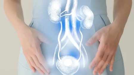 Ai o senzație de apăsare pe vezica urinară? Iată care pot fi cauzele!