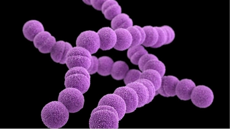 Infecția cu bacteria streptococ beta-hemolitic grup A. Ce simptome provoacă și cum se tratează