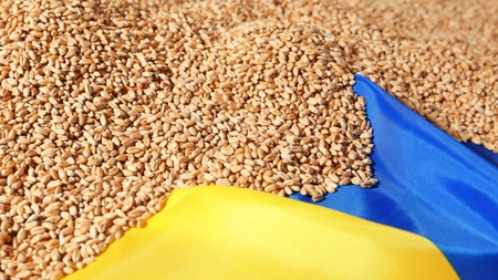UE și Ucraina au ajuns la un acord de principiu privind importurile de produse agricole