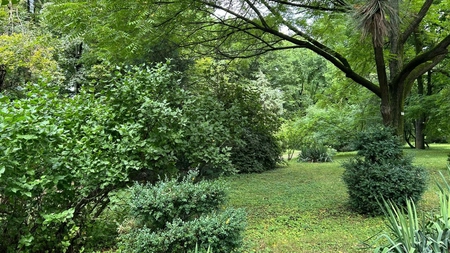Grădina Botanică din Iași pregătește ceva cu totul special, unic în România! Un nou colț verde, dedicat plantelor rare, urmează să prindă viață