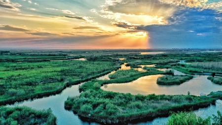 Informații interesante despre Delta Dunării – Este o lume uimitoare de descoperit pentru copii