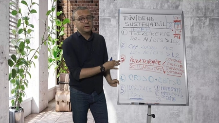 Economistul Iancu Guda, propunere pentru autoritățile române: Nu suprataxarea este soluția