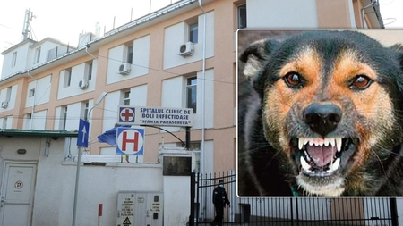 Cel mai mic pacient vaccinat antirabic la Spitalul Clinic de Boli Infecțioase a avut doar 1 an și 2 luni! Dr. Florin Roșu: „De la începutul anului 2025, 800 de persoane au necesitat profilaxia antirabică”