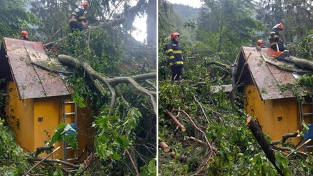 Castelul Peleș, lovit de furie naturii! Furtuna a făcut ravagii în Sinaia, monumente istorice grav avariate
