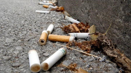 Poluarea solului, un pericol ignorat! Cantități uriașe de deșeuri la fiecare pas