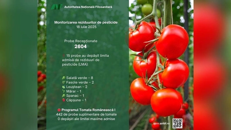 Raport actualizat privind pesticidele din fructe, legume și cereale. Iată rezultatele