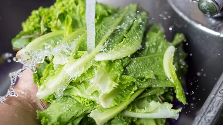 Ce beneficii are salata verde și cum poate fi preparată? Iată ce trebuie să știi!