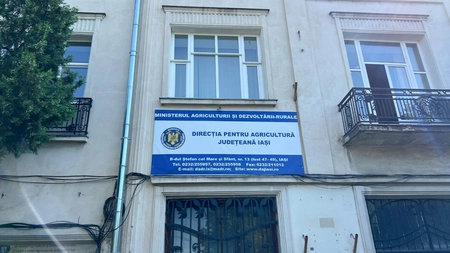 Ce sporuri încasează directorul unei importante instituții. Primește salarii din 3 surse de venit