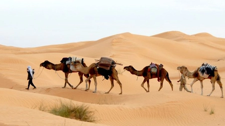 Plănuiești o călătorie în Tunisia? Iată câteva sfaturi pentru o experiență sigură, cu adevărat spectaculoasă